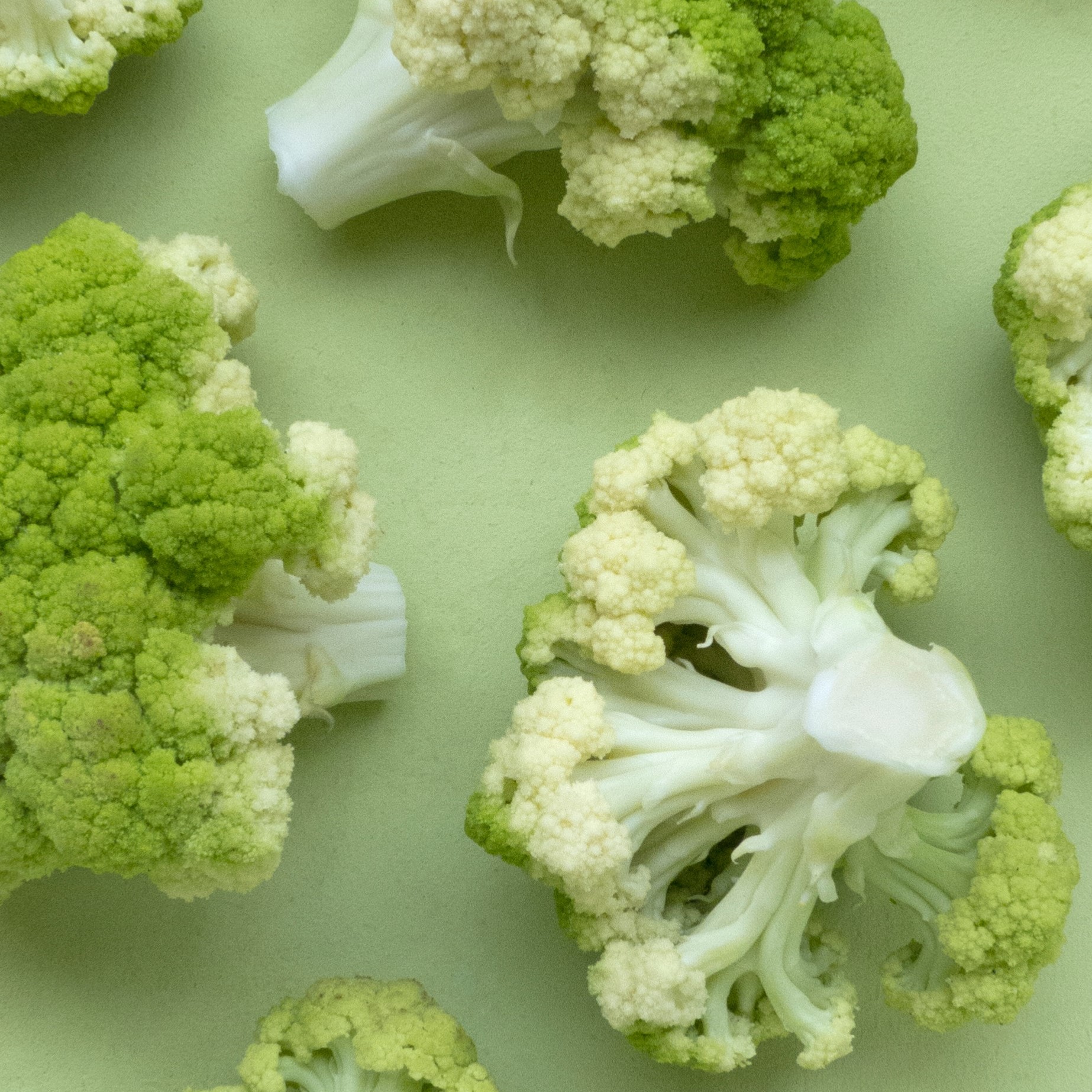 picture of broccoli