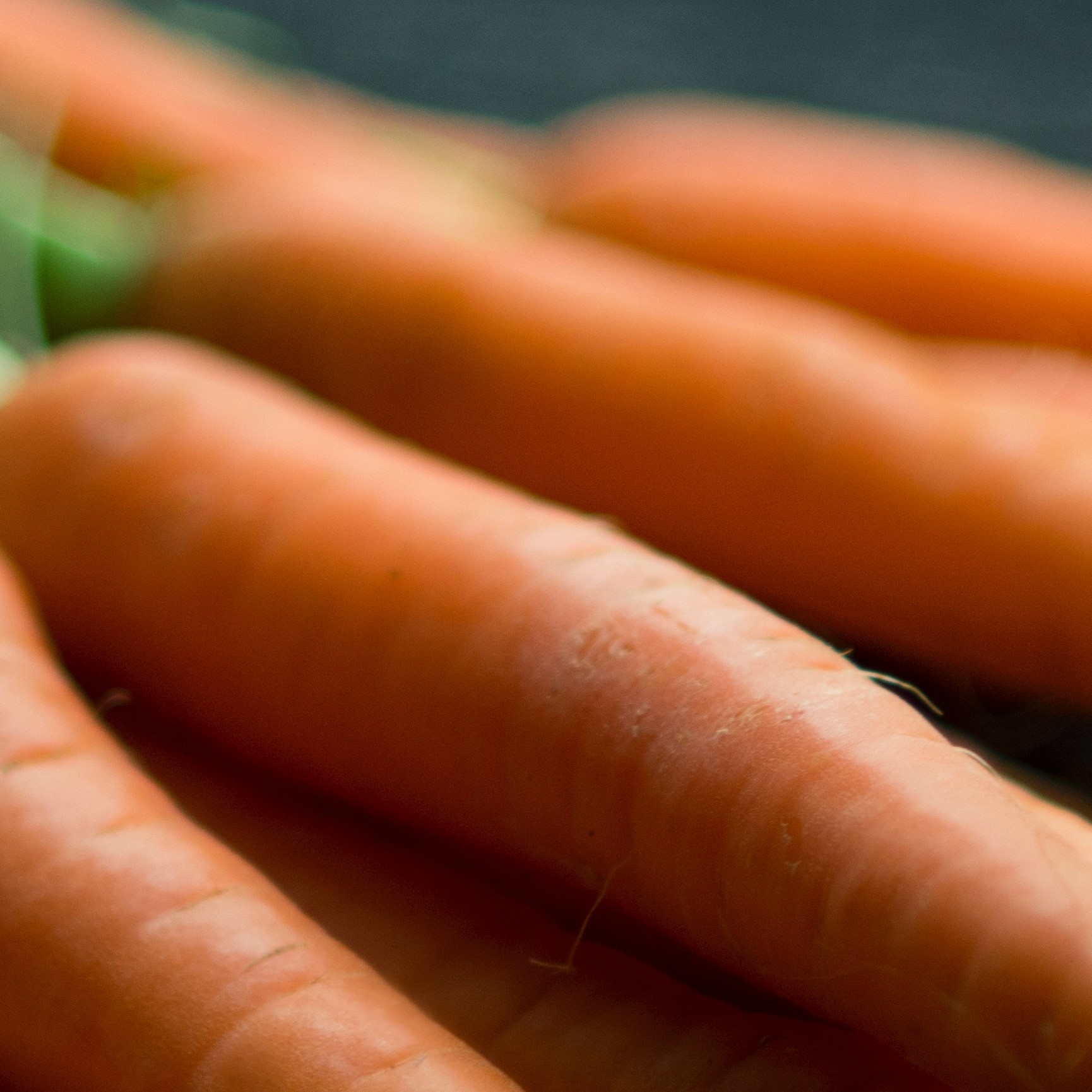 picture of carrots